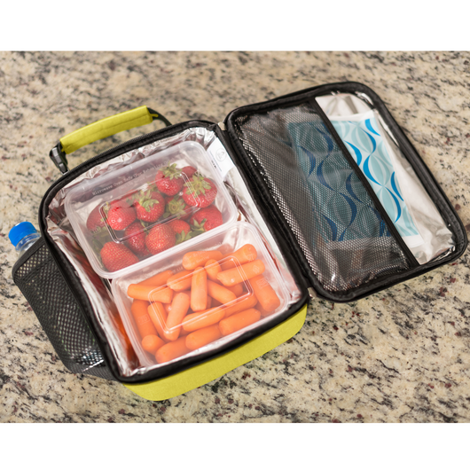 Ice lunch bag hotsell