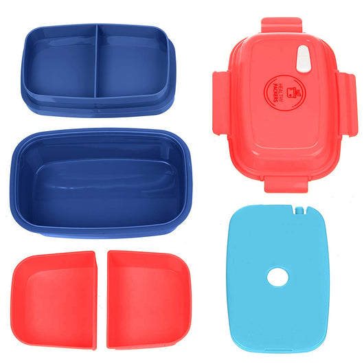 NEW Leak-Proof Bento Box with Removable Ice Pack & 4 Compartments
